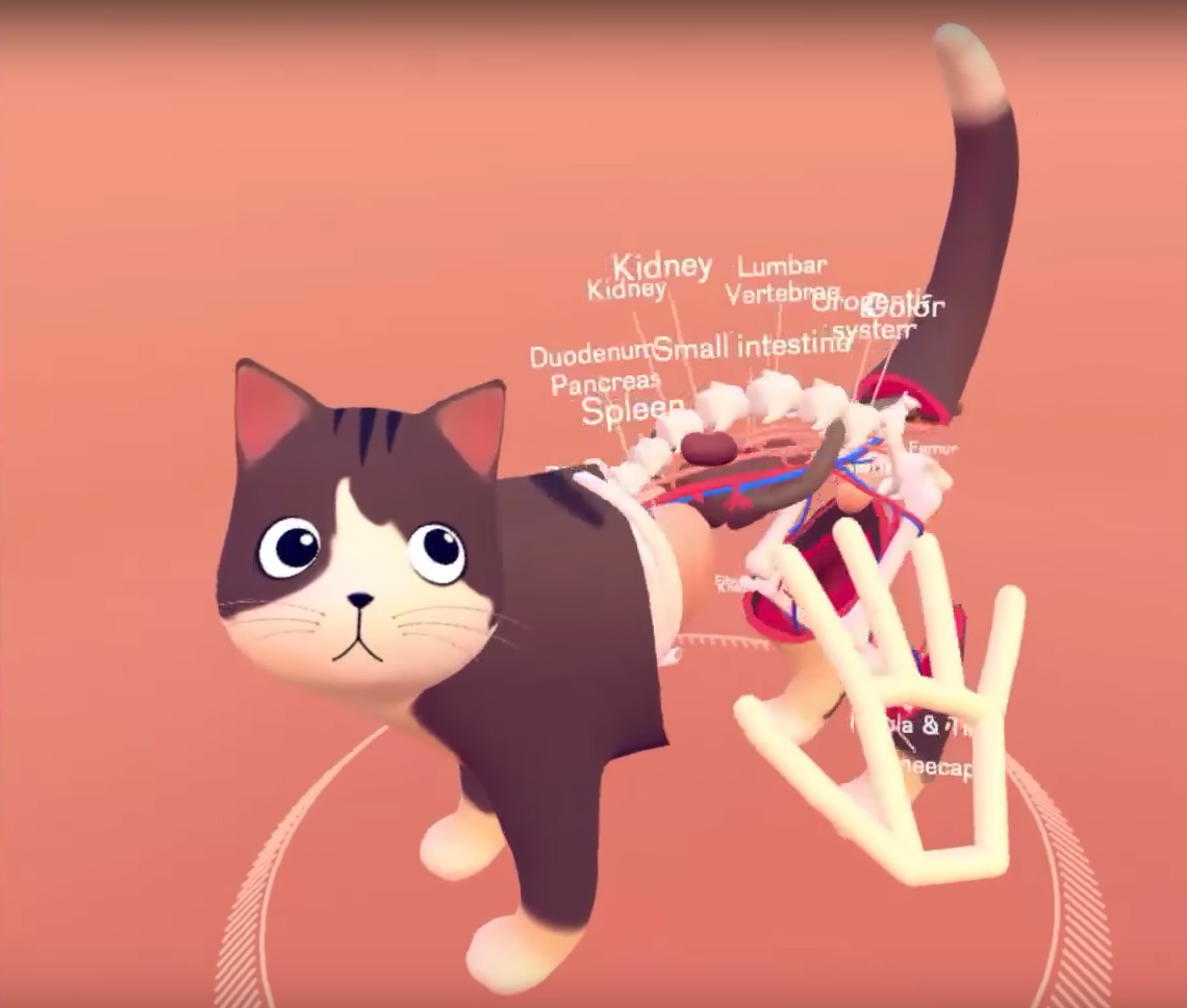 Leap Motion